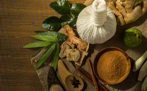 Cây thuốc nam có lợi cho người mỡ máu cao 