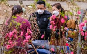 Tết Quý Mão, chưng hoa gì để hút may mắn, tài lộc?