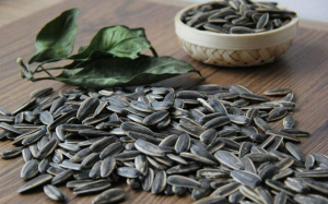 Nguy cơ tăng cân, tăng huyết áp do ăn nhiều hạt hướng dương