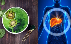 Dấu hiệu lá gan cần được thải độc sau Tết