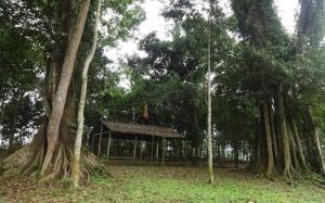 Đi dọc bản Mường Hòa Bình