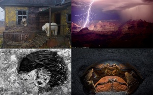 Ngắm những bức ảnh thế giới tự nhiên đẹp nhất năm 2022 