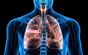 Lưu ý trong việc sử dụng thuốc kháng sinh điều trị đợt cấp COPD