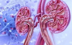 Thuốc uống đầu tiên điều trị thiếu máu dành cho người chạy thận nhân tạo