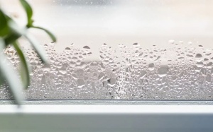 Độ ẩm không khí ảnh hưởng tới sức khỏe của bạn như thế nào?
