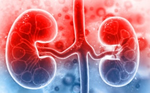 Suy thận giai đoạn đầu: Cách nhận biết và cải thiện hiệu quả