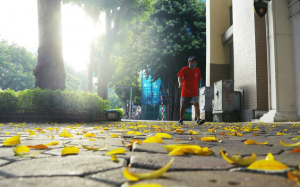 Bắc Bộ nắng về trưa chiều, Đông Nam Bộ có nơi nắng nóng