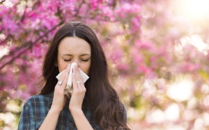 Hay hắt hơi, sổ mũi: Có phải bạn bị dị ứng theo mùa?