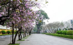 Bắc Bộ mưa vài nơi, Nam Bộ trời có nắng 