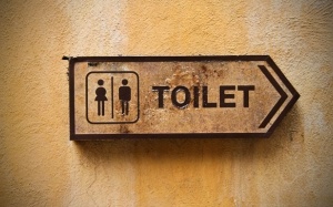 Điểm danh những nỗi sợ mang tên Nhà vệ sinh công cộng