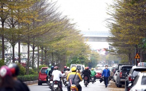 Bắc Bộ trời âm u, Nam Bộ ngày nắng