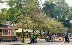 Bắc Bộ ngày nắng ấm, Trung Bộ mưa lớn