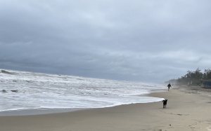 365 khoảnh khắc tâm thiền: Thiên đường không ở đâu xa