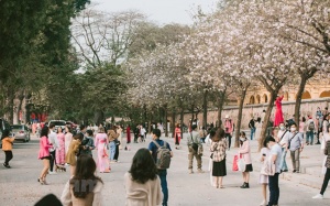 Bắc Bộ nắng ấm, Trung Bộ nắng mưa xen kẽ