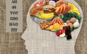 Top 7 thực phẩm tốt nhất cho não bộ