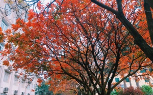 Bắc Bộ có mưa nhỏ vài nơi, Đông Nam Bộ vẫn nắng nóng