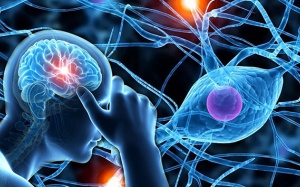 Nhận biết dấu hiệu rối loạn thần kinh thực vật 