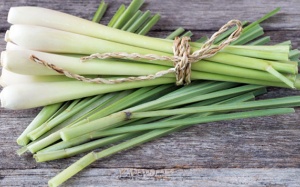 5 lợi ích tuyệt vời của cây sả giúp da đẹp, dáng xinh