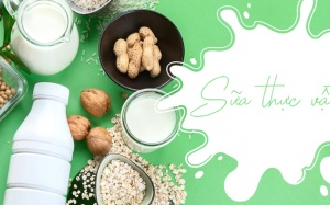 Làm sao chọn được loại sữa thực vật phù hợp với nhu cầu?