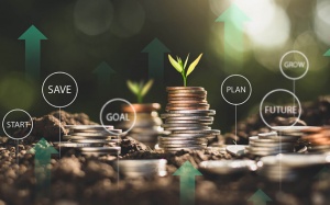 Tử vi Chủ nhật (12/3/2023): Kim Ngưu nên rõ ràng hơn trong chuyện tiền bạc