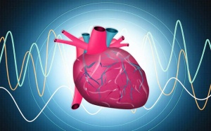 Người bệnh suy tim nên làm gì để ổn định nhịp tim?