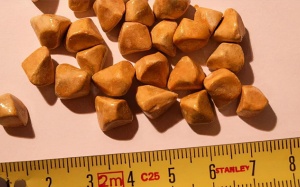 Bị viên sỏi mật 4mm có nguy hiểm không?