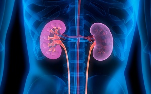 Nguyên nhân suy thận mạn và cách ngăn ngừa hiệu quả 