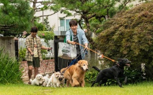 Infographic: Gợi ý 2 bộ phim hay mới ra rạp tuần này