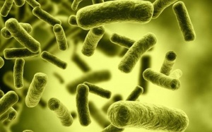 Botulinum độc cỡ nào?