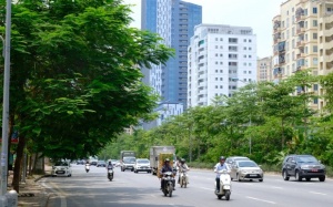 Bắc Bộ chuyển nắng nóng