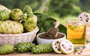 Quả nhàu và các lợi ích cho người bệnh đái tháo đường