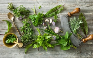 Có các cây thuốc Nam nào giúp trị bệnh nhịp tim nhanh?