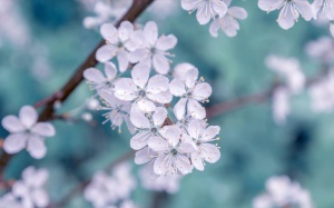 Tử vi tháng 4/2023: Ma Kết nên chú ý giải quyết các mối quan hệ cá nhân