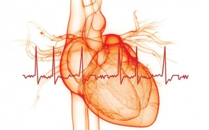 Cần biết gì về rung nhĩ - dạng rối loạn nhịp tim nguy hiểm?