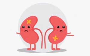 Những triệu chứng suy thận nhẹ mà bạn cần biết và điều trị ngay