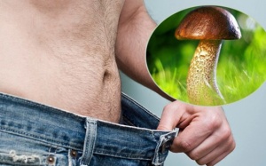 Tại sao 'cậu nhỏ' có hình dạng giống cây nấm?