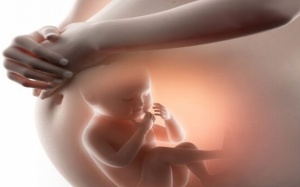 5 thực phẩm mùa hè tốt cho mẹ bầu