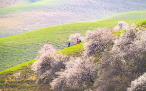 Mãn nhãn ở Hạnh Hoa Câu