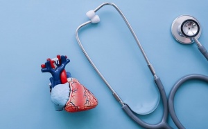 Hở van tim 2 lá 1/4, hở van tim 3 lá 1/4 cần điều trị không?