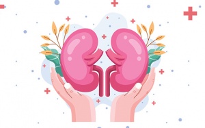 4 cách tăng cường chức năng thận cho người suy thận