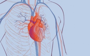 BV Đại học Y Hà Nội cứu sống ca phình động mạch chủ hiếm gặp