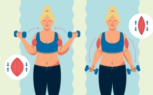 Tập eccentric - tập giãn cơ là gì và tập thế nào mới tốt?