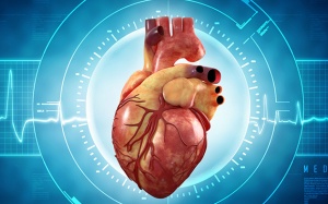 Rung nhĩ kịch phát là gì và chúng khác gì với rung nhĩ thông thường?