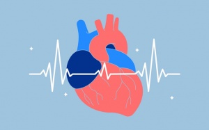 Nhịp tim chậm 50 - 60 nhịp/phút, kèm khó thở có nguy hiểm không?