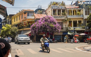 Bộ Y tế hướng dẫn chăm sóc sức khỏe mùa nắng nóng