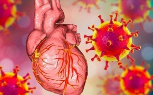 Cấy ghép tim của người hiến mắc COVID-19 có nguy cơ hay không?