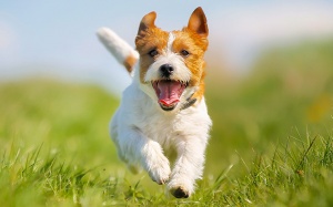 Tử vi thứ Hai (29/5/2023): Bọ Cạp sẽ bắt đầu tuần mới rất tích cực