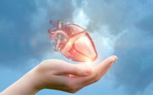 Cần làm gì để bệnh hở van tim, vôi hóa van không nặng hơn?