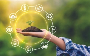 Tìm hiểu 6 yếu tố môi trường có thể tác động tới sức khỏe của bạn