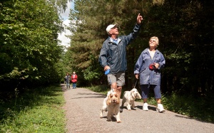 Cải thiện tâm trạng dễ dàng với liệu pháp đi bộ